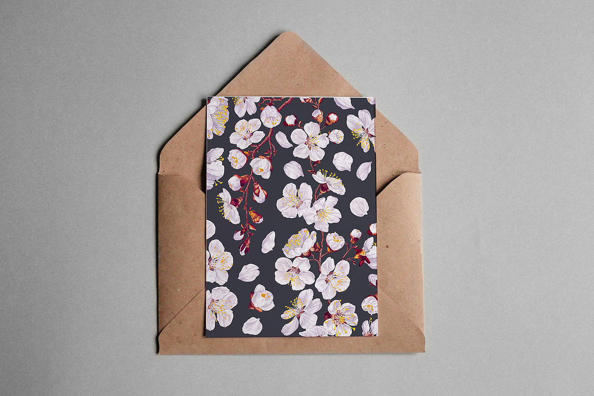 Apricot Branches Big Floral Set, an Illustration by MarynaPetrovska (Photo 23 of 23)