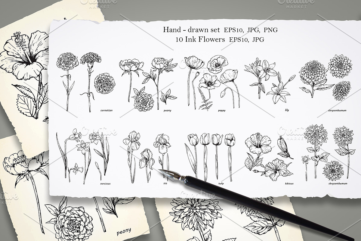 Set of Flowers, an Illustration by Victoria_Novak (Photo 1 of 5)