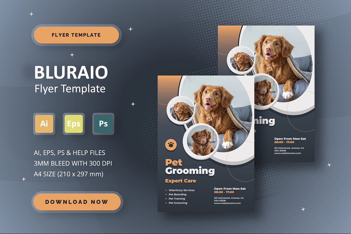Bluraio - Flyer Template, a Flyer Template by StreaksideStd