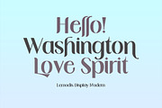 Lemodis Display, a Serif Font by studiobasic (Thumbnail 9 of 9)