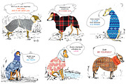 Wise dogs in popons. 6 Cards, a Card Template by Zooza Art (Thumbnail 3 of 3)