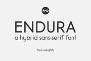Endura, a Font by PHD Studios (Thumbnail 1 of 5)