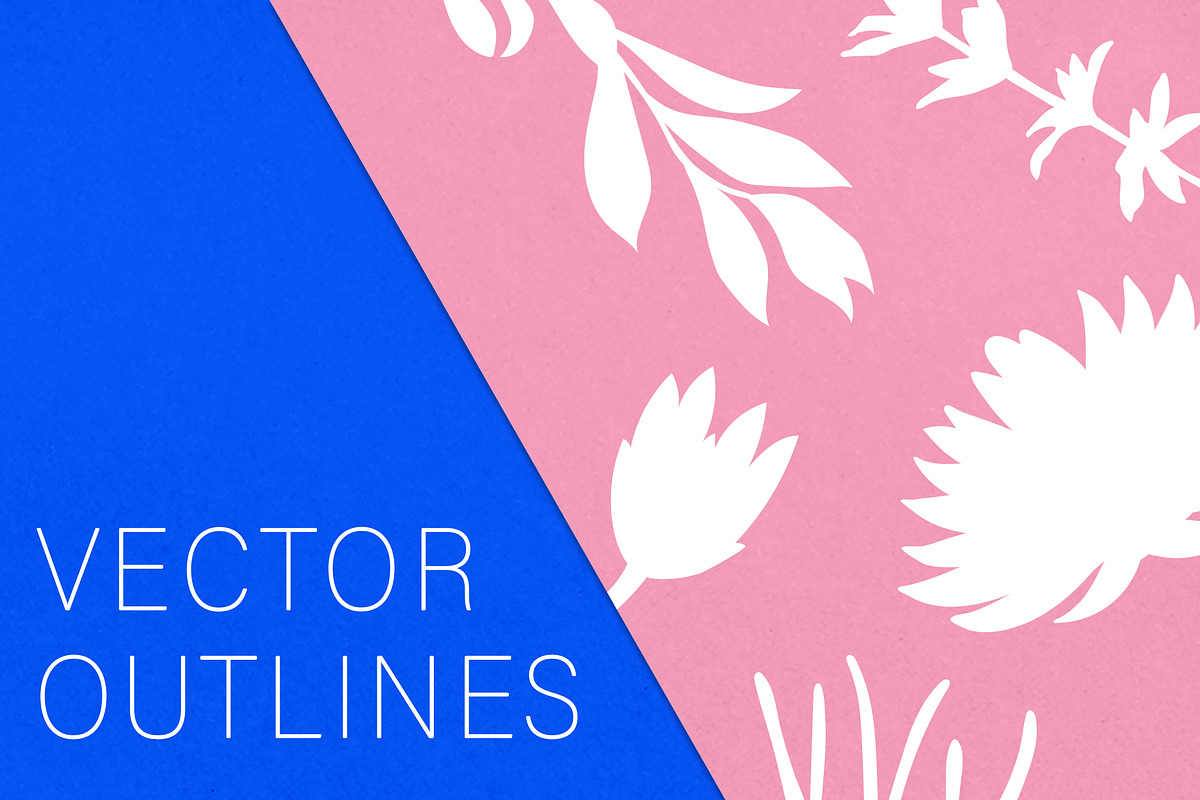 Botanical Vector Silhouettes, a Decorative Illustration by digiful (Photo 5 of 6)