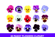30 Pansy Flowers Clipart PNG, a Decorative Illustration by Sunset&Sea Design (Thumbnail 1 of 2)
