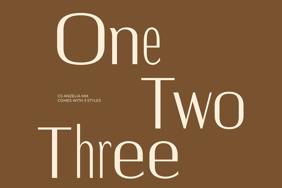 CS Anzelia Mix, a Sans Serif Font by Craft Supply Co. (Photo 3 of 8)