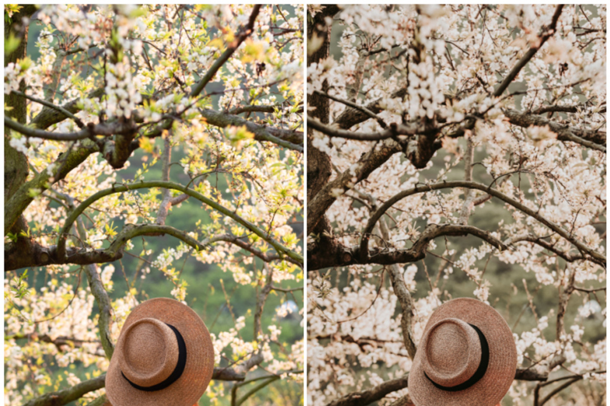 20 Lightroom Presets Boho Girl p1, a Preset Add-On by PerfectStudioPresets (Photo 8 of 10)