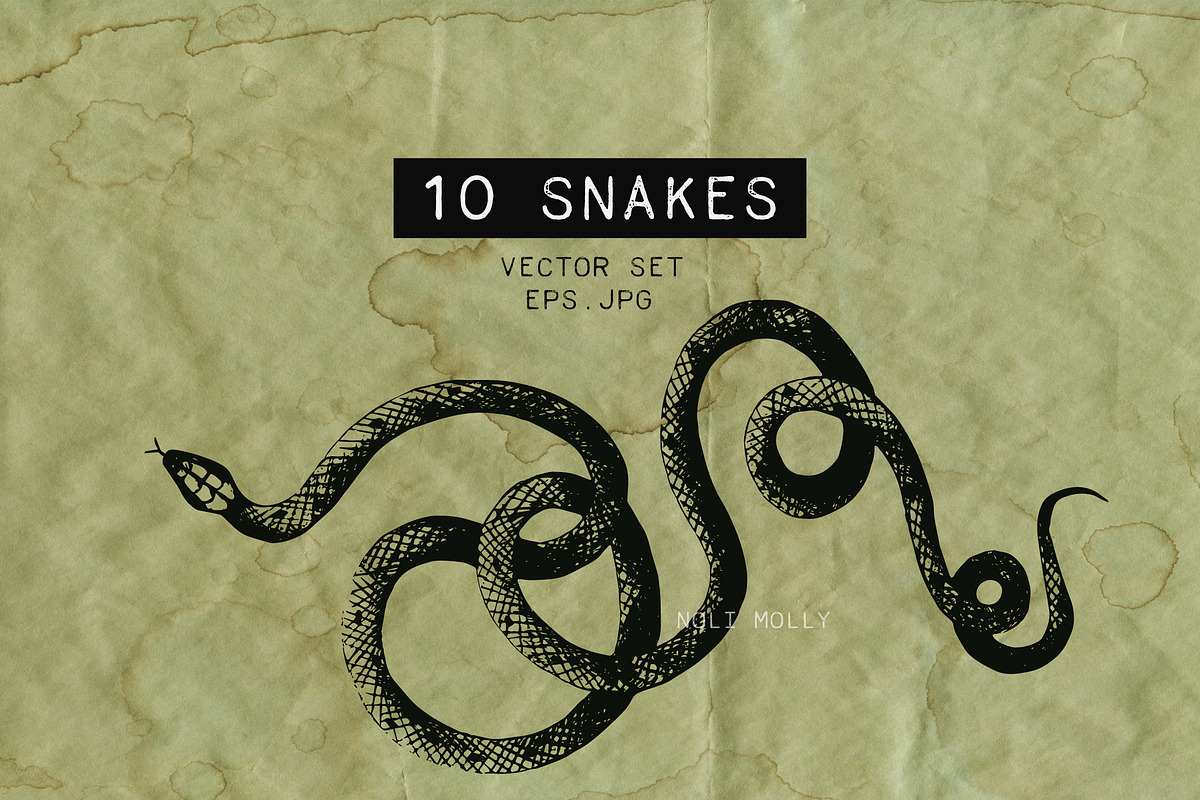 Snakes vector set, a Graphic by Noli Molly Store (Photo 1 of 5)