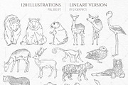 Into the Wild Collection, an Animal Illustration by GVGraphics (Thumbnail 5 of 24)