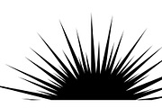 Abstract Sunburst Silhouette Set, a Graphic by hafijul (Thumbnail 9 of 11)