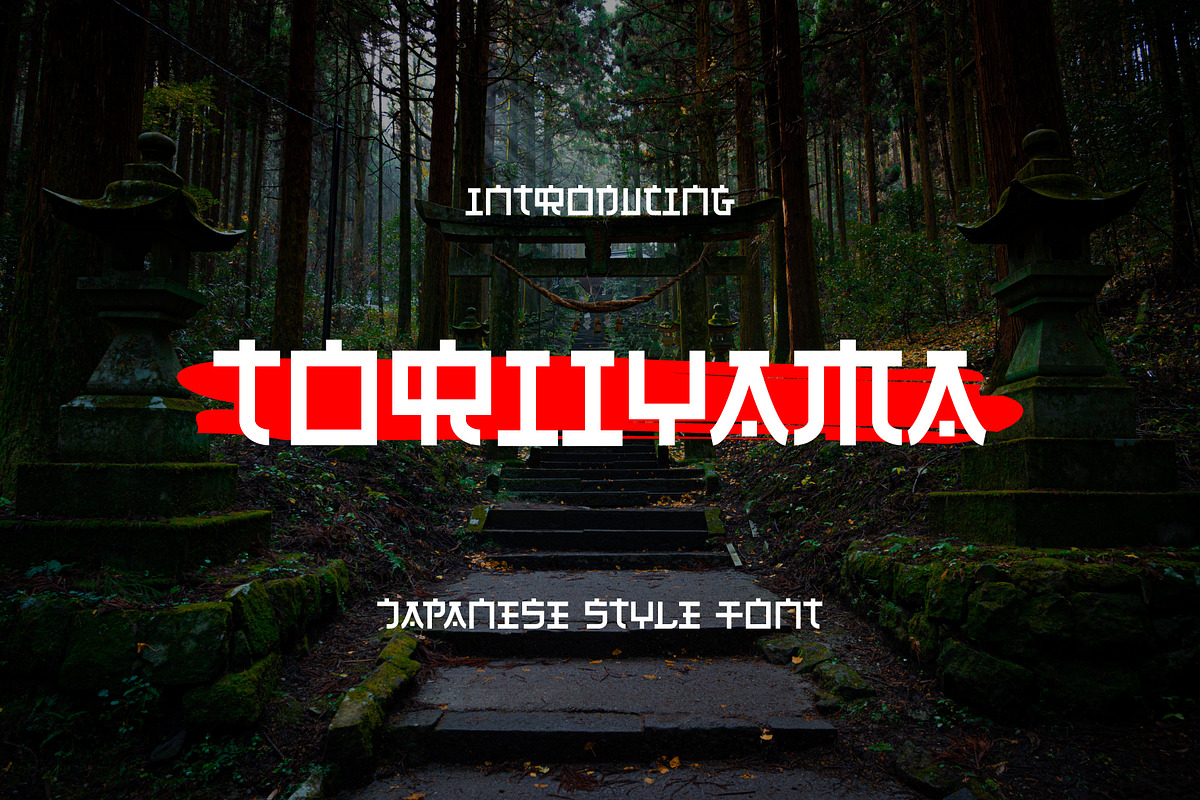 Toriiyama - Japanese Style Font, a Symbol Font by Artnivora.Std (Photo 1 of 4)