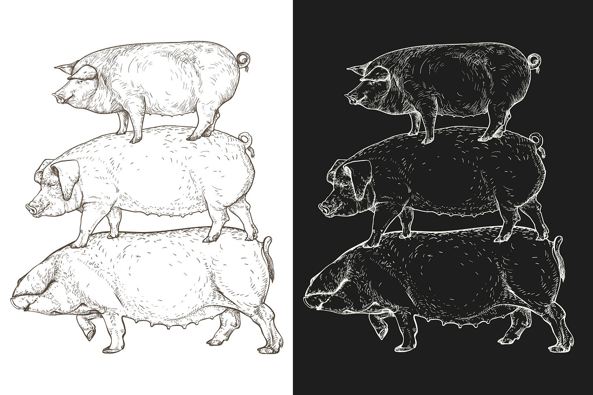 Eco pig farm, an Object Graphic by ArtOwl (Photo 5 of 7)