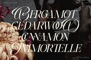 Hazel Shore - Serif & Script Duo, a Serif Font by SilverStag Type Foundry (Thumbnail 29 of 30)