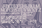Royal Flush Typeface, a Serif Font by Jordan Burgen Design (Thumbnail 5 of 6)