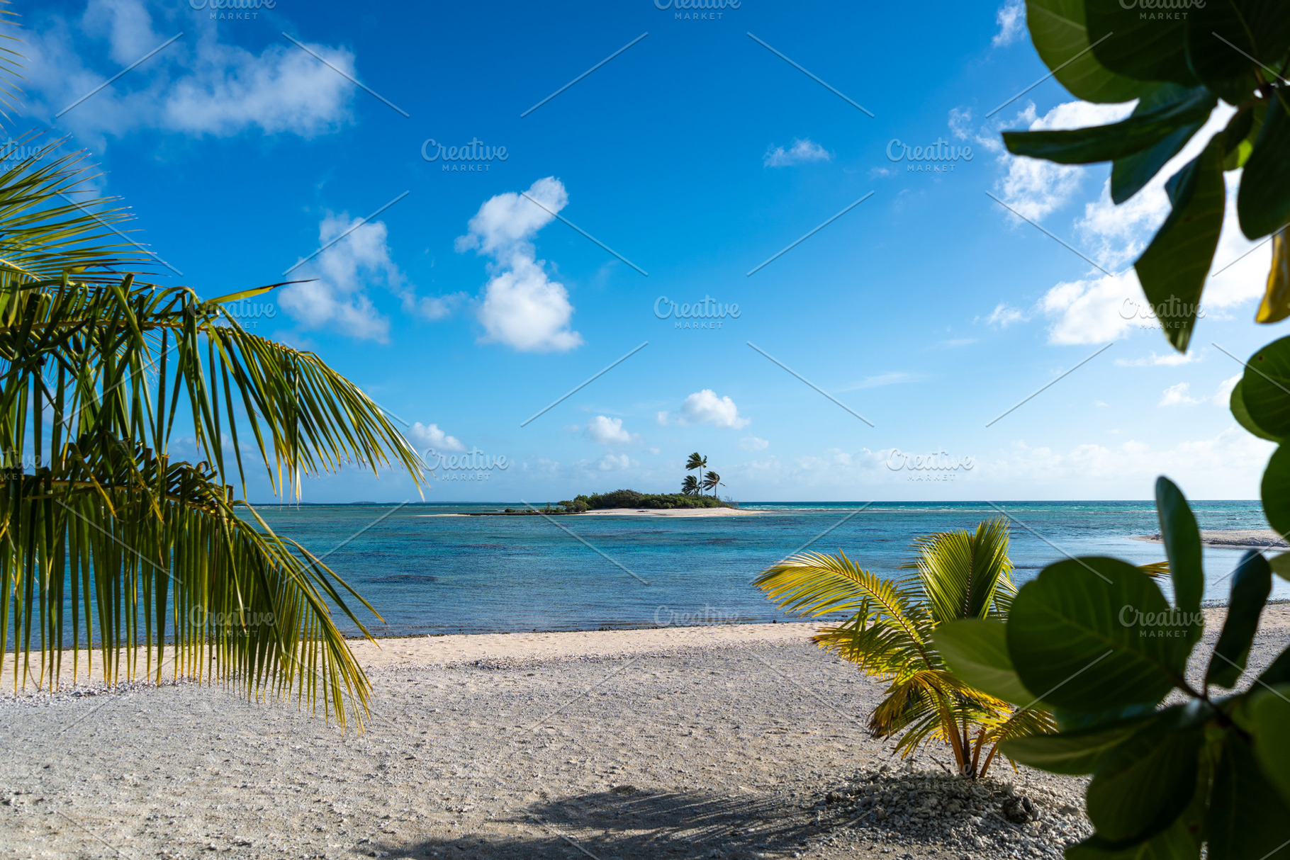 Idyllic motu view from a beach in Tikehau, French Polynesia, a Nature Photo by GoodGoods