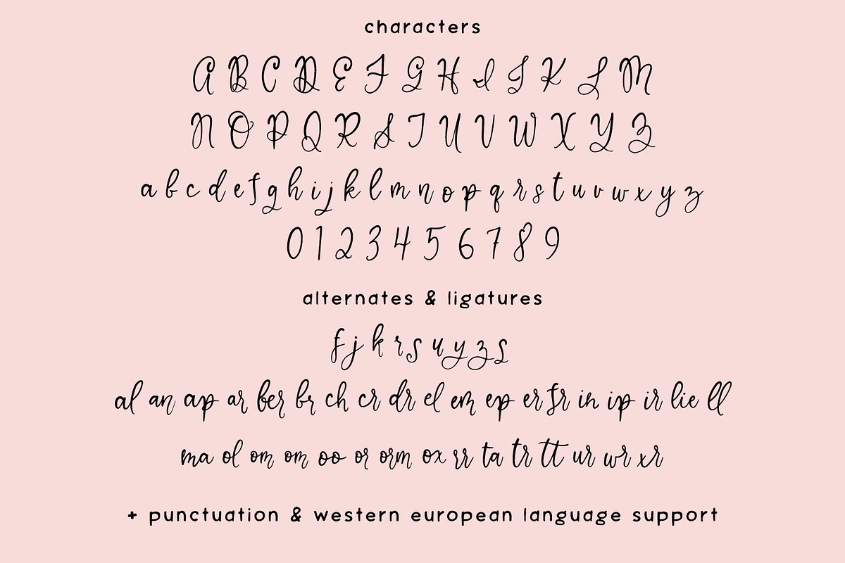 Marleau Script Font, a Handwritten Font by Beck McCormick (Photo 10 of 10)