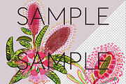 Aboriginal Style Flower Clipart PNG, a Decorative Illustration by Pawcasso's Portraits (Thumbnail 4 of 9)