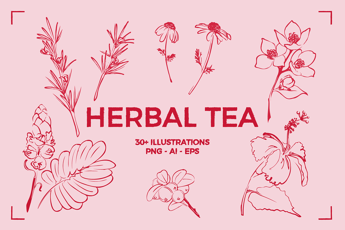 HERBAL TEA (30+ ILLUSTRATIONS), a Food Illustration by Bonfloret Studio (Photo 1 of 10)