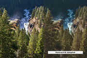20 Vintage Nature Lightroom Presets, a Preset Add-On by SparkleStock (Thumbnail 14 of 17)
