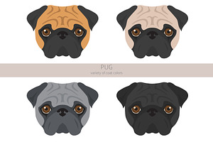 Pug Clipart