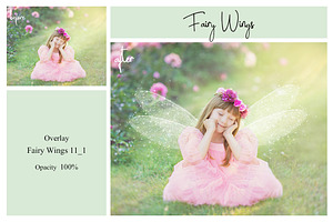 40 Fairy Wings PS Overlays