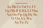 Heterogent - Premium Serif Font, a Serif Font by Artiveko (Thumbnail 3 of 8)