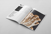 Magazine Template 45, a Magazine Template by pmvch (Thumbnail 14 of 15)