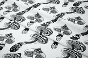 Magic MUSHROOMS. 60 BW Vector Set., an Illustration by Varvara Gorbash (Thumbnail 8 of 11)