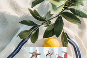 Coastal Prints Creator, an Object Graphic by whiteheartdesign (Thumbnail 12 of 13)