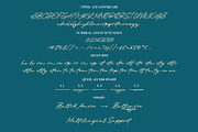 The Destiny | Monoline Script, a Script Font by Lemonthe (Thumbnail 6 of 6)