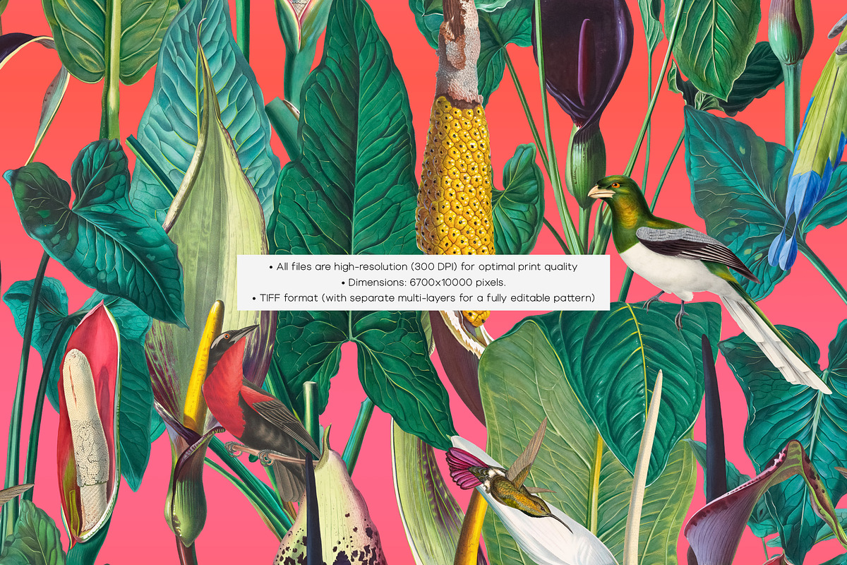Exotic Tropical Patterns & Motifs, a Pattern Graphic by LEAFure (Photo 9 of 13)