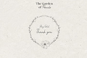 Pencil-drawn flowers, a Decorative Illustration by Damian Roh (Thumbnail 21 of 21)