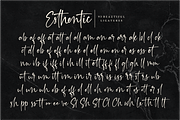 Esthentic a Handwritten Script Font, a Script Font by Vilogsign (Thumbnail 9 of 10)