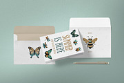 Curious Entomology Collection, an Animal Illustration by Cosy Fox (Thumbnail 5 of 9)