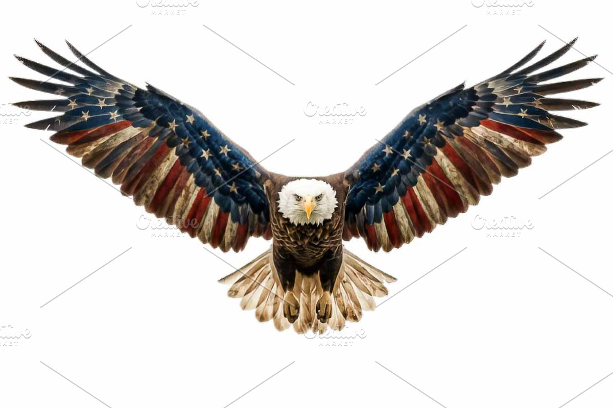Bald Eagle Patriotic Watercolor PNG, an Animal Illustration by VetalStock (Photo 3 of 8)
