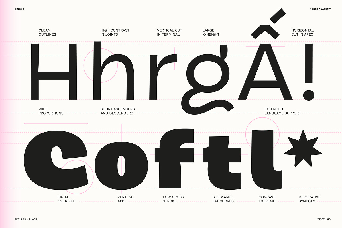 Dingos | Compact Chunky Display Sans, a Sans Serif Font by Antipixel Type Studio (Photo 13 of 16)