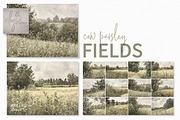 Cow Parsley Fields, a Decorative Illustration by rileyBgraphics (Thumbnail 1 of 6)
