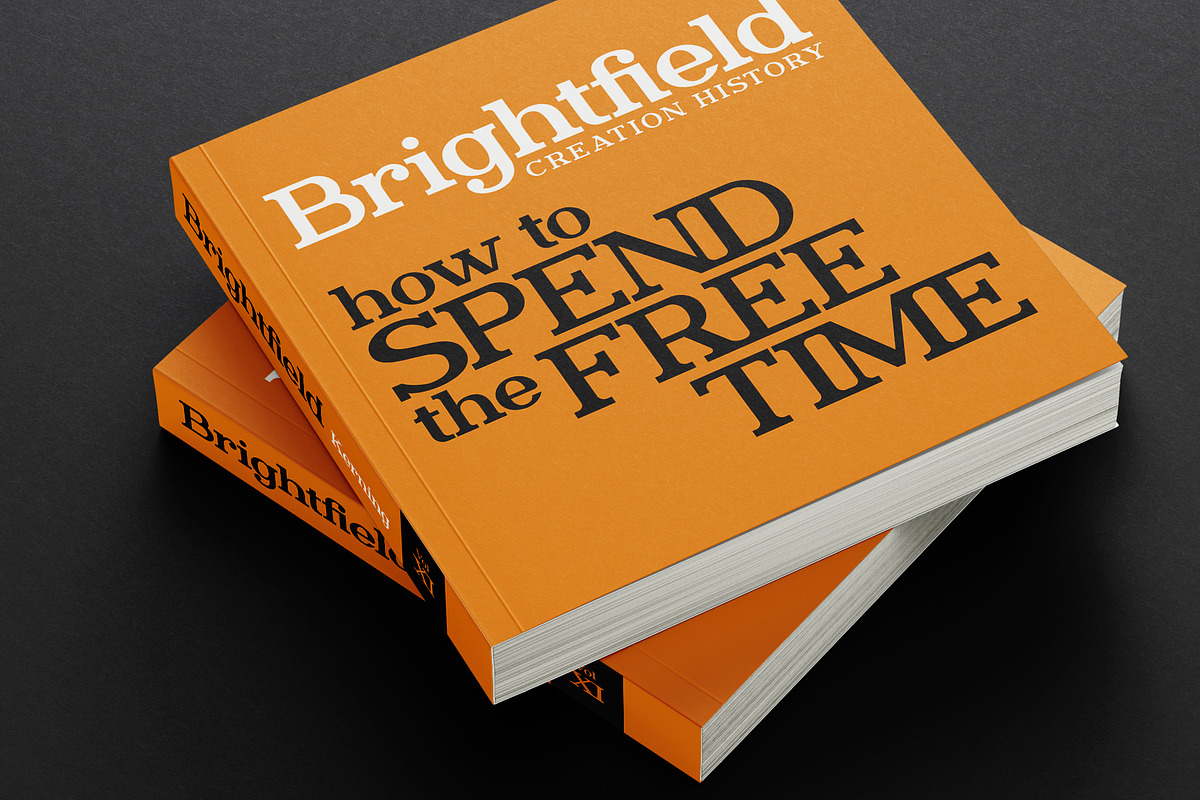 Brightfield Serif Font, a Serif Font by Cyritron (Photo 9 of 12)