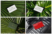 Business Card Mockups - Outdoor, an Advertising Mockup by Mr.Mockup™ (Thumbnail 11 of 23)