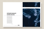 Magazine Template 08, a Magazine Template by pmvch (Thumbnail 10 of 12)