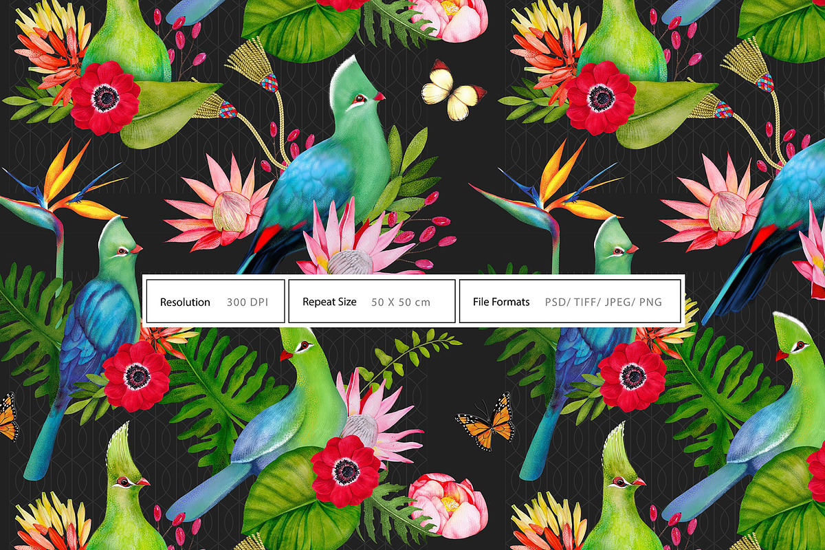 Exotic Wilderness, a Decorative Illustration by Dana Designs (Photo 7 of 18)