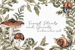 Forest Plants And Snails Watercolor