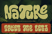Callidryas Groovy Font, a Sans Serif Font by Gleb Guralnyk (Thumbnail 5 of 8)