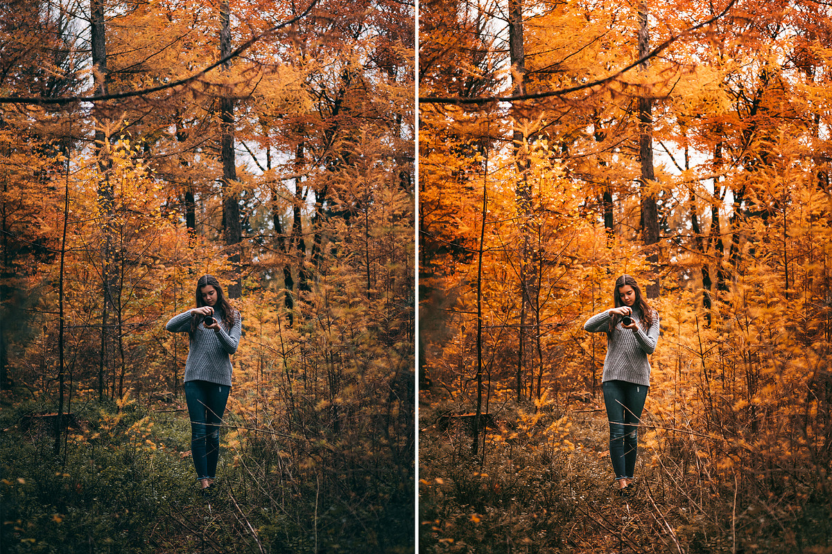 10 AUTUMN VIBES Lightroom Preset, a Preset Add-On by CCPreset (Photo 2 of 6)