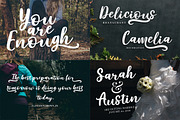 The Premium Creation Font Bundle, a Serif Font by Megatype (Thumbnail 50 of 56)