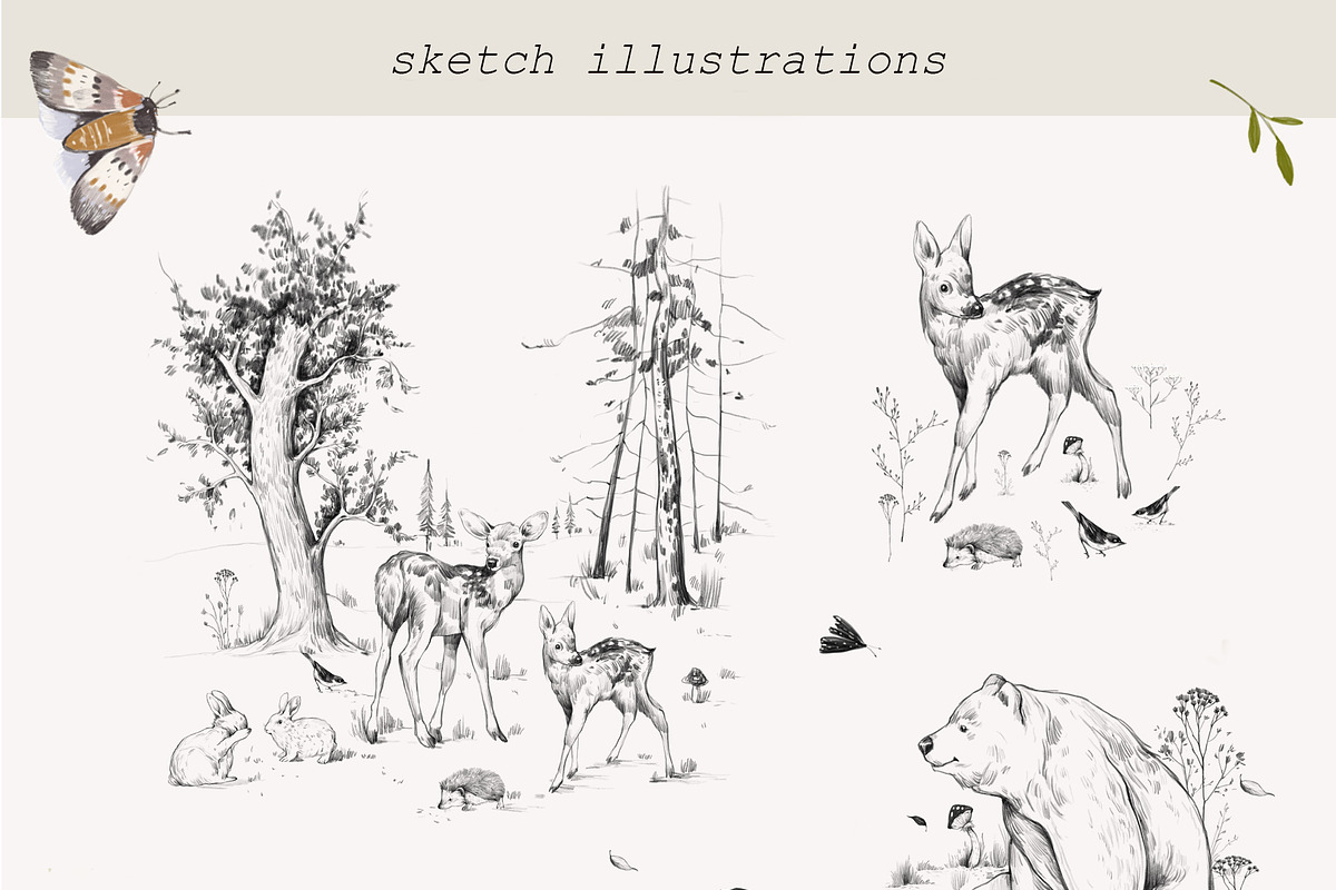 Forest animals collection, an Animal Illustration by Natalia Tugova (Photo 7 of 13)