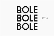 Polea - Modern Logo Font, a Sans Serif Font by suhadidesign (Thumbnail 5 of 11)