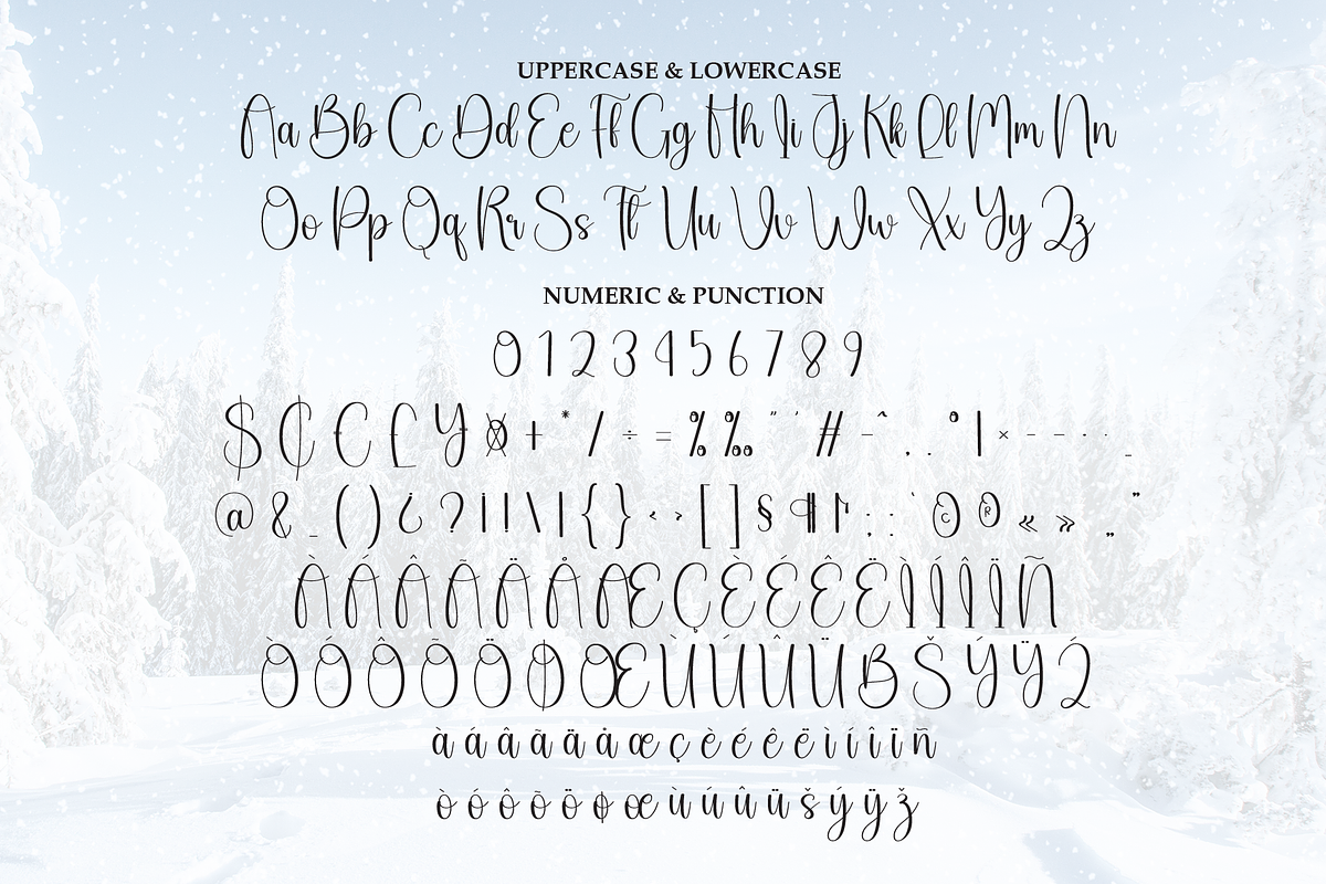 Snowy | Script Font, a Handwritten Font by Scratchones (Photo 7 of 9)
