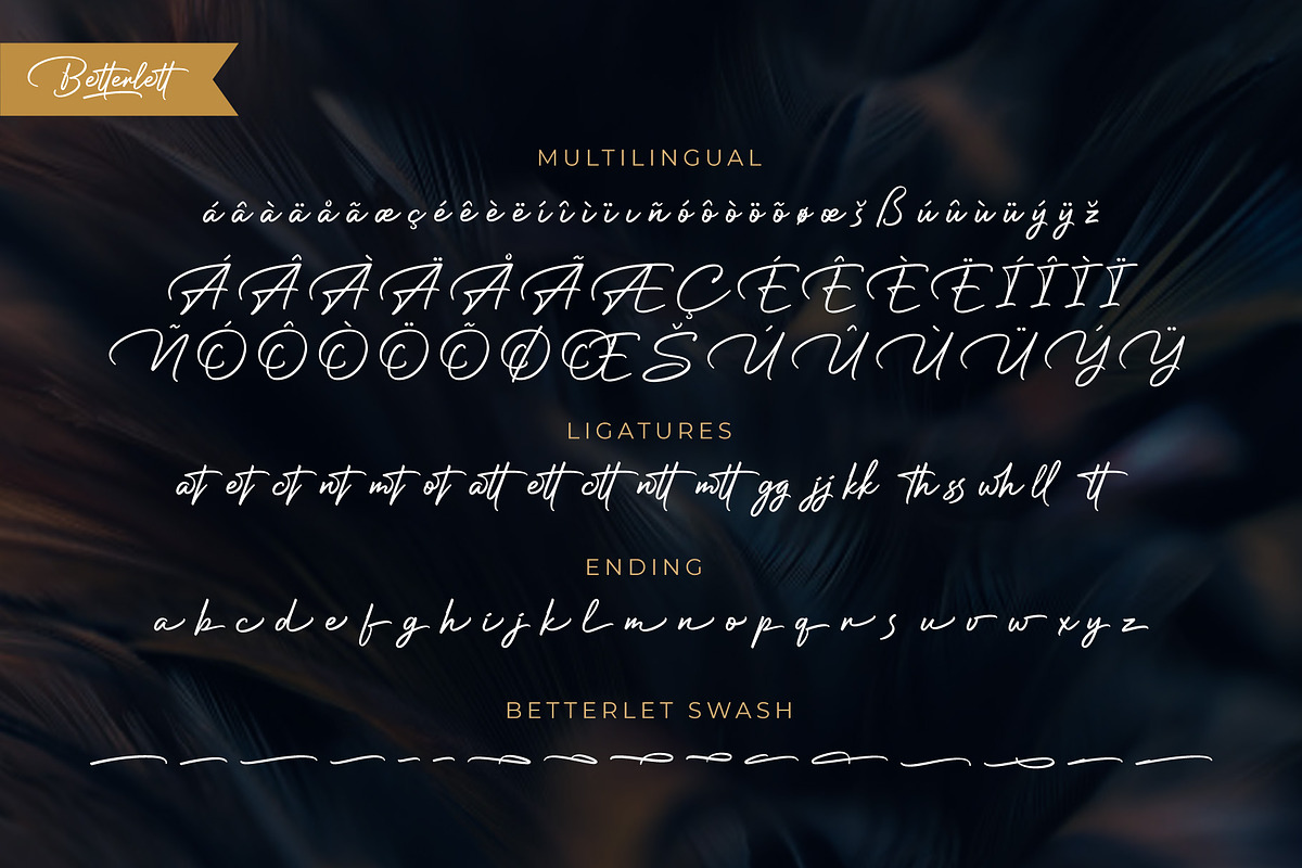 Betterlett, a Script Font by Digitype Studio (Photo 10 of 10)