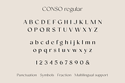 Conso | Font Family, a Sans Serif Font by Larin Type Co. (Thumbnail 14 of 15)