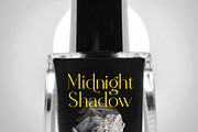 Qignals Modern Serif Font, a Serif Font by timelesstype.co (Thumbnail 12 of 20)